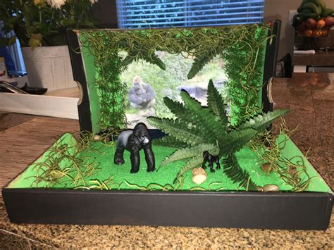 diorama terrarium|diorama ideas for animal habitats.